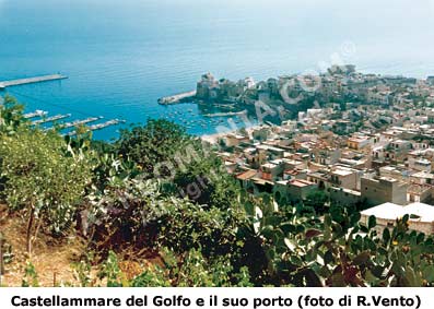 Immagine di Castellammare del Golfo : la città e il porto dall'alto