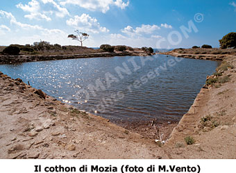 Mozia, Coton o Cothon o Kothon o Koton