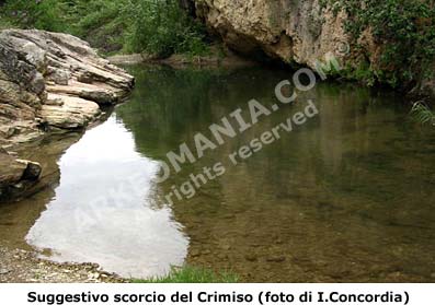 Segesta - Il Crimiso