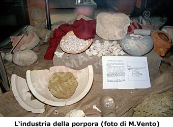 Museo di Mozia: l'industria della porpora