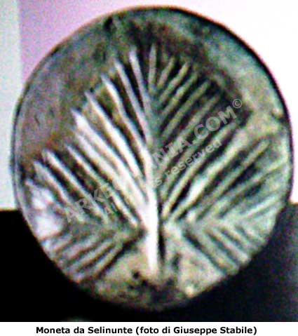 moneta greca da Selinunte
