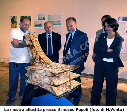 Giornate Europee del Patrimonio - La mostra dei reperti del mare di Trapani