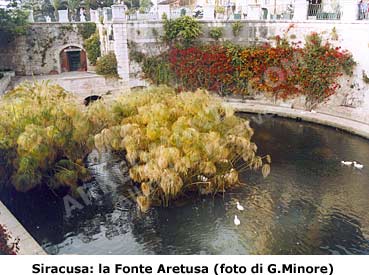 Siracusa: la fonte Aretusa