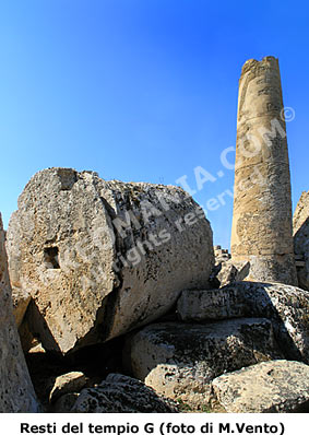 Selinunte, collina est: i giganteschi rocchi delle colonne del Tempio G