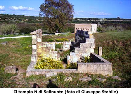 Tempio N - Selinunte