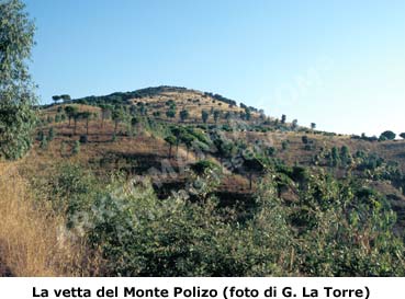 Monte Polizo (Salemi, Trapani): la vetta